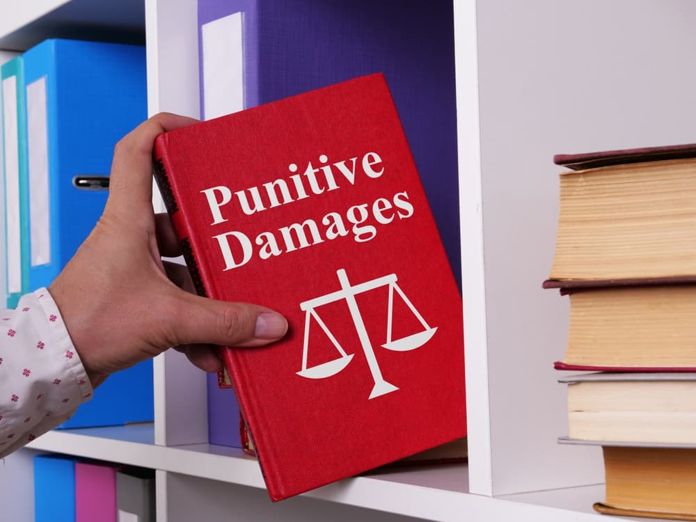Text displaying information about punitive damages, often awarded in legal cases as a form of punishment.