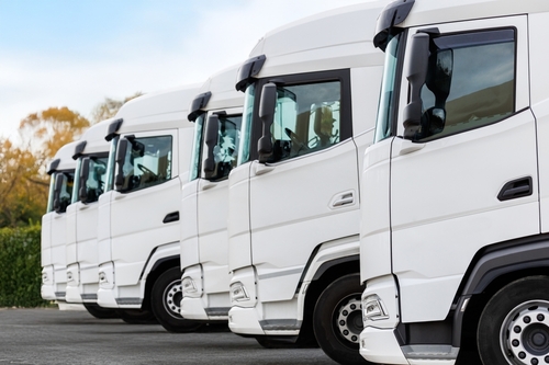Commercial truck insurance in Florida showing a fleet of trucks lined up for transport operations.