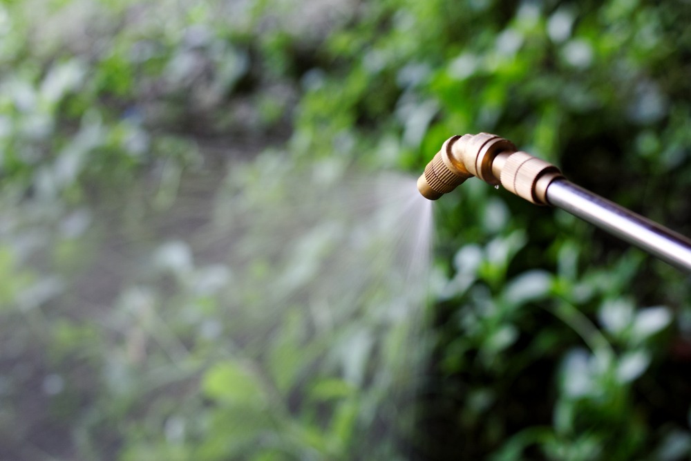Herbicide sprayer misting over crops, a source of paraquat exposure