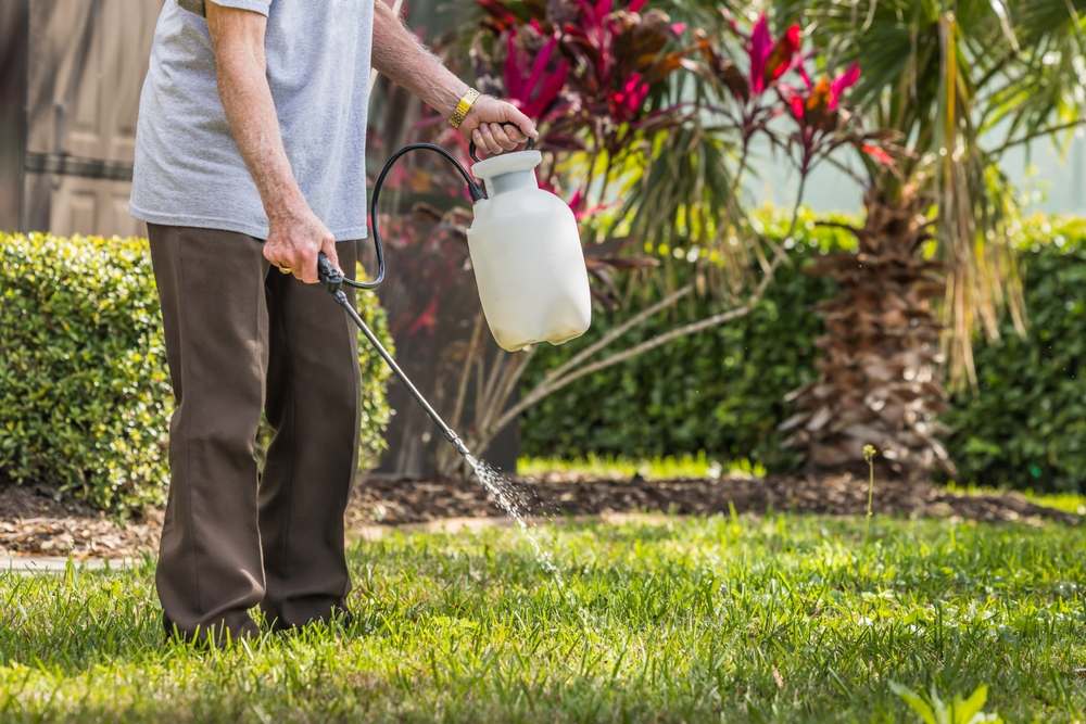 Homeowner spraying weed killer on residential lawn