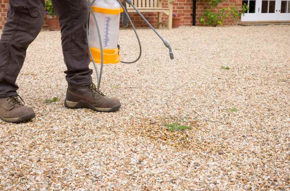 Applying herbicide to a gravel driveway to control weeds